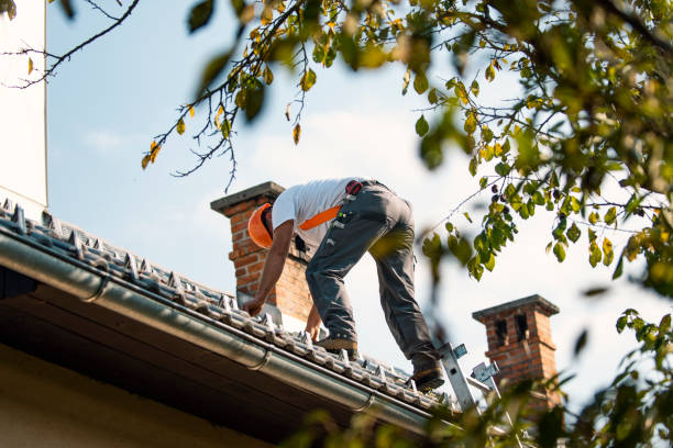 Best Metal Roofing Contractor  in Warrenton, OR