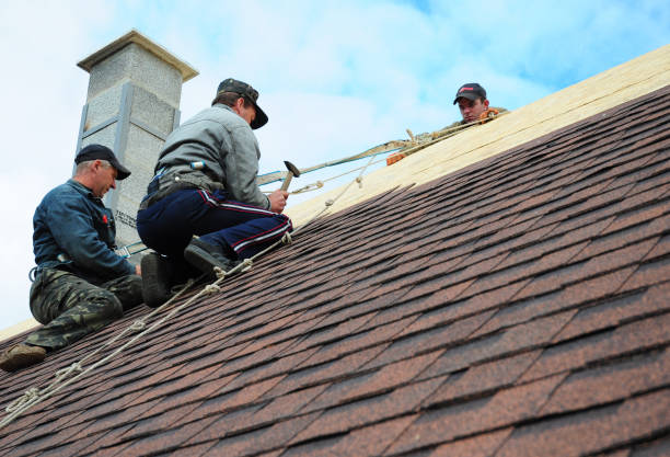 Best Shingle Roofing Installation  in Warrenton, OR